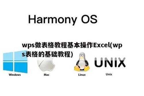 wps做表格教程基本操作Excel(wps表格的基础教程)