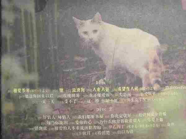 许志安-相爱多年·国语新歌+精选三十首_2CD[天凯引进版][WAV]