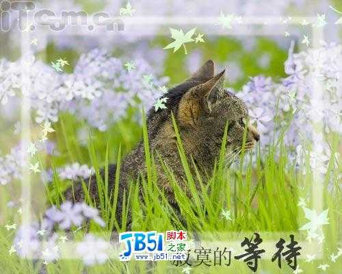 Photoshop新手教程：添加相框及签名