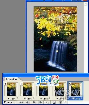 Photoshop制作枫叶飘落的动画风景