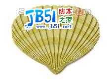 Photoshop滤镜实例：制作彩色小贝壳