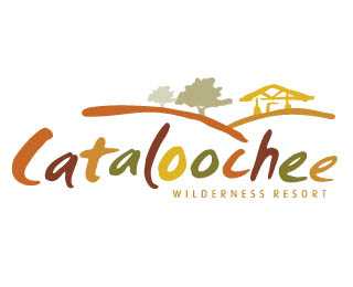 精美的国外网站标志