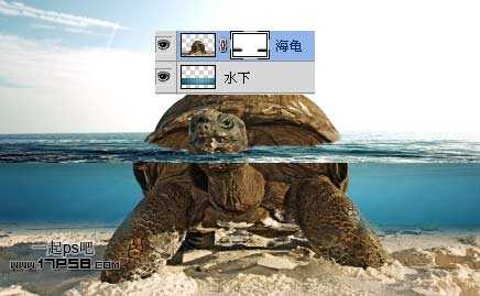 photoshop合成制作海龟岛&shy;自然场景