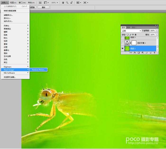PS教程之像美女一样精修你的虫片(豆娘的后期处理教程)