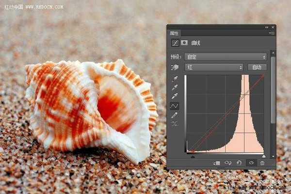 Photoshop调出诗意的沙滩贝壳