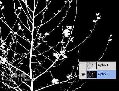 Photoshop抠图教程:通道和计算命令抠图实例