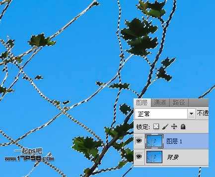 Photoshop抠图教程:通道和计算命令抠图实例