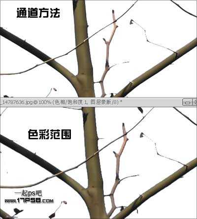 Photoshop抠图教程:通道和计算命令抠图实例