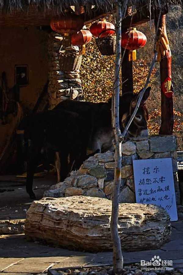 数码单反相机拍摄技巧心得之一：确立明确的拍摄主题