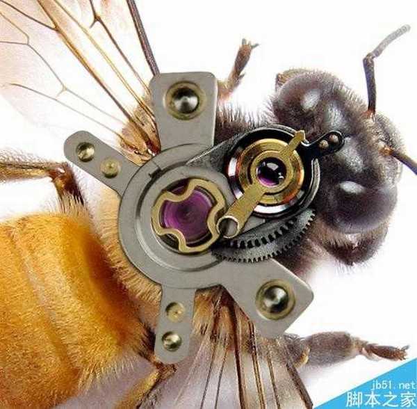 Photoshop合成非常逼真创意的机械小蜜蜂教程