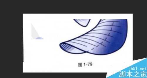 ps对图片进行拼图方法介绍