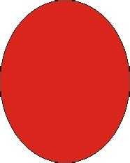 cdr简单制作一个乒乓球拍