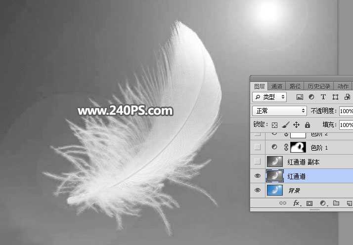 PS怎么抠羽毛?PS巧用通道工具快速抠出洁白的羽毛教程