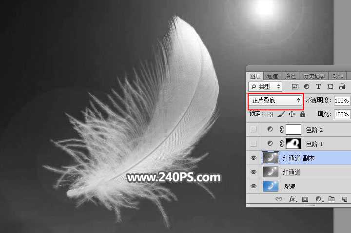 PS怎么抠羽毛?PS巧用通道工具快速抠出洁白的羽毛教程