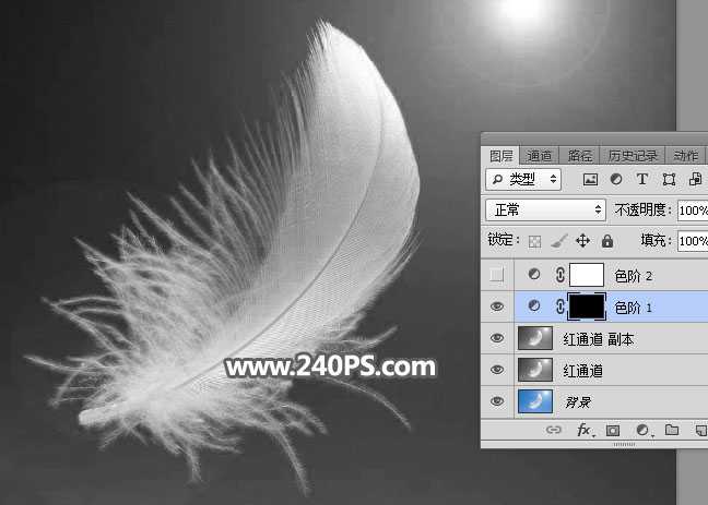 PS怎么抠羽毛?PS巧用通道工具快速抠出洁白的羽毛教程
