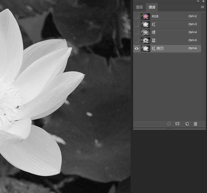Photoshop怎么用曲线工具快速抠出池塘里的荷花?
